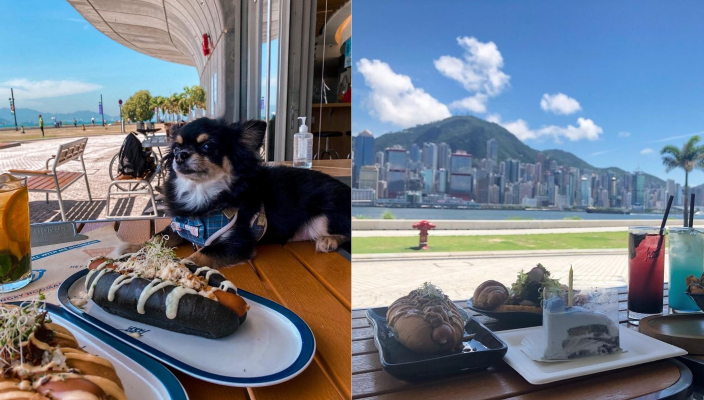 狗狗好去處、寵物友善餐廳、寵物cafe